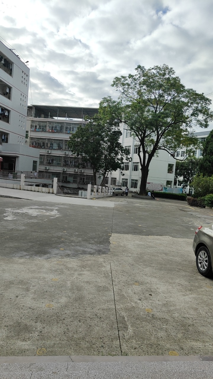 wx_camera_1726703146534.jpg